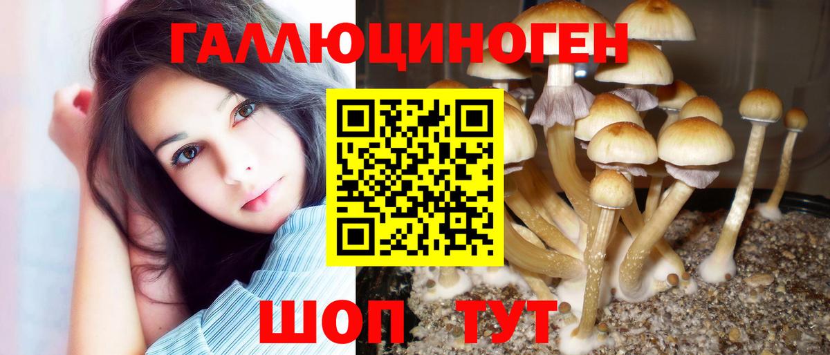 Псилоцибиновые грибы мухоморы  Вход с VPN  Кандалакша 